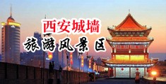 女人骚逼劈开腿被鸡巴操黄色视频中国陕西-西安城墙旅游风景区